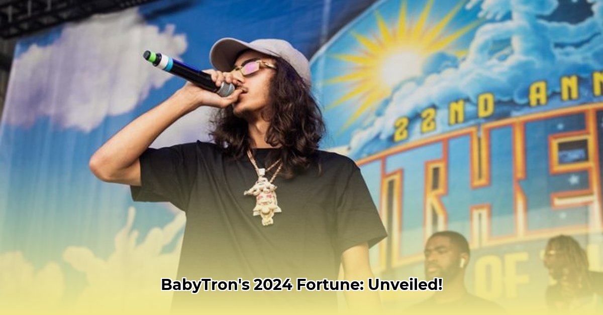 babytron-net-worth